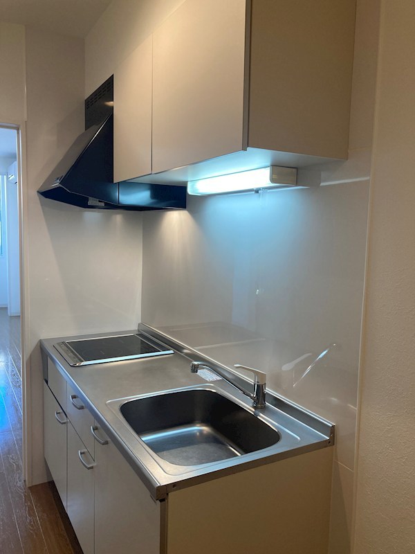 ＯＷＬ その他2