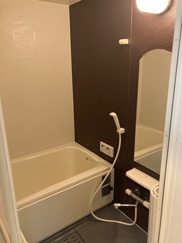 ＯＷＬ その他3