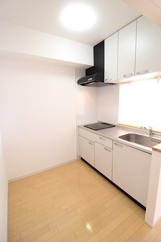 リベルテ白鳥 その他13