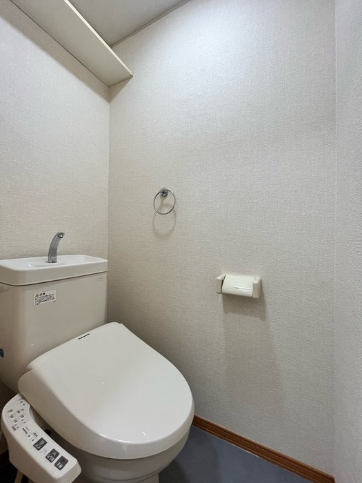 サフラン　B その他5