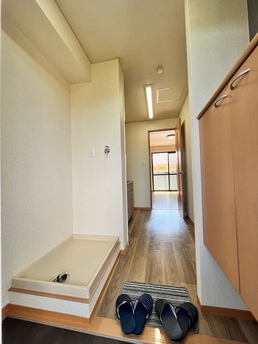 サフラン　B その他8