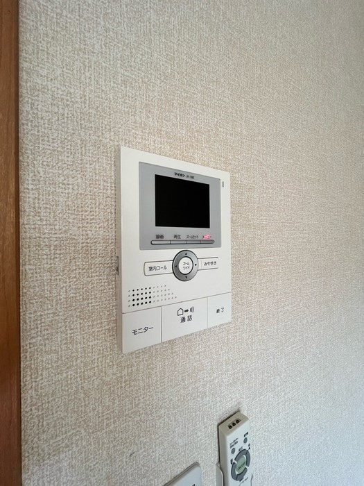 サフラン　B その他9