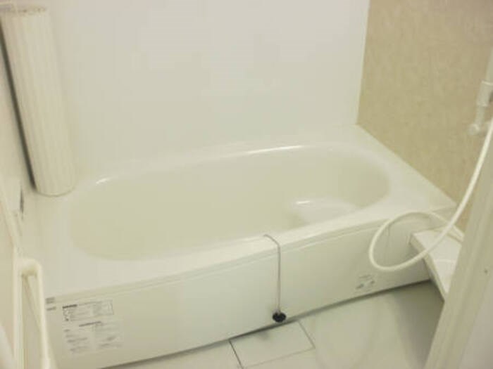 ピオニー その他3