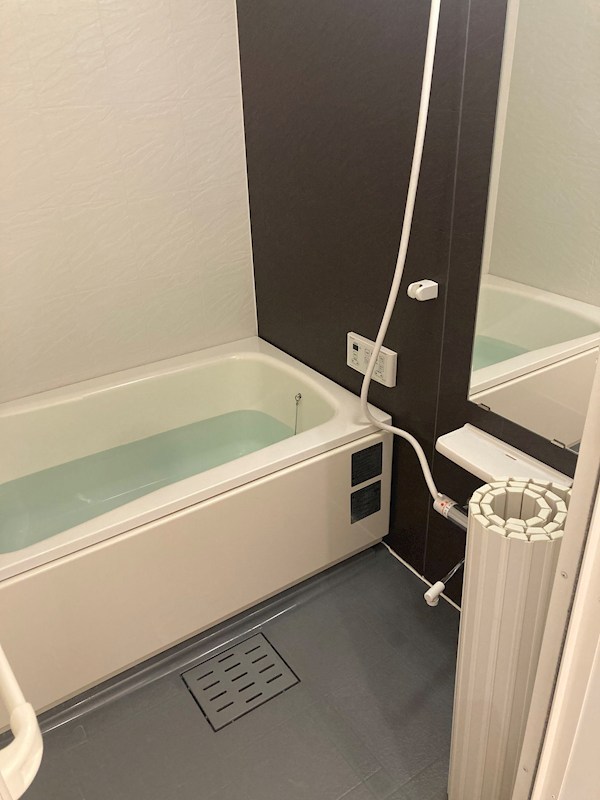 ＯＷＬ その他3