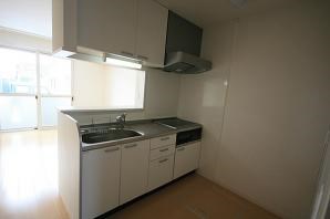 エクレール・カメリア その他2