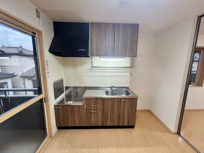 アブシンベル その他3