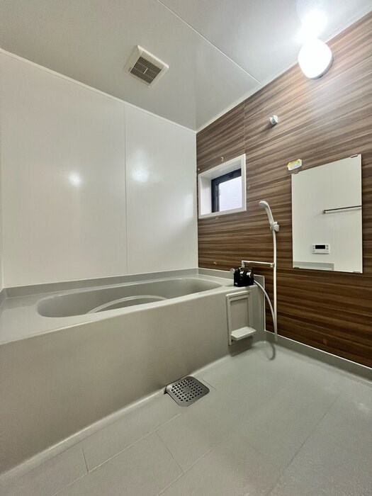 アブシンベル その他4