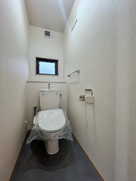 アブシンベル その他6