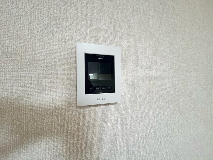 アブシンベル その他11