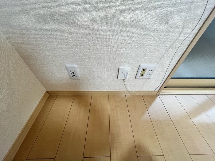 アブシンベル その他14