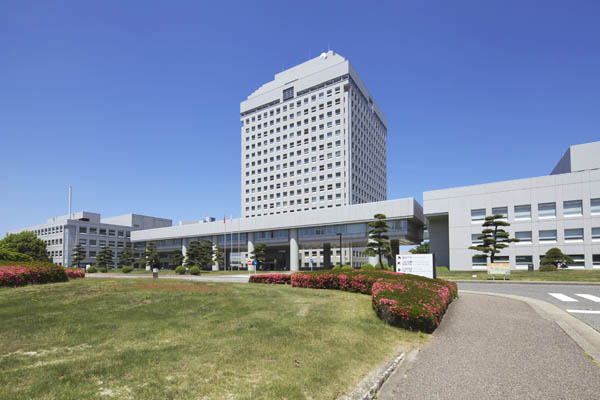 リヴァー南出来島 周辺画像7