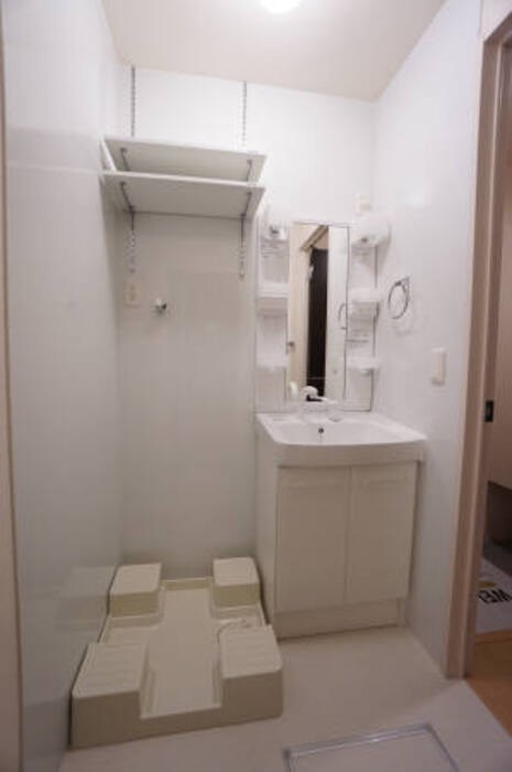 オリーブ その他4