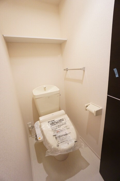 オリーブ その他5