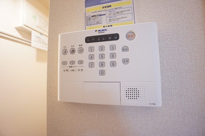 オリーブ その他8