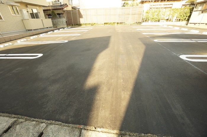 オリーブ その他10