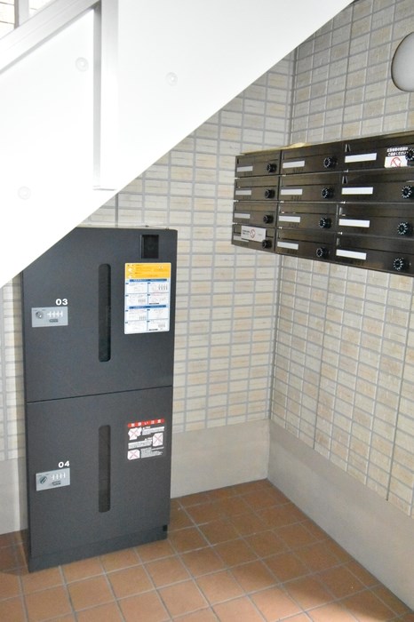 オリーブ その他11