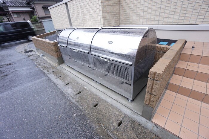 オリーブ その他12