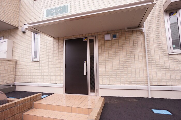 オリーブ その他13