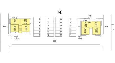 オリーブ その他14