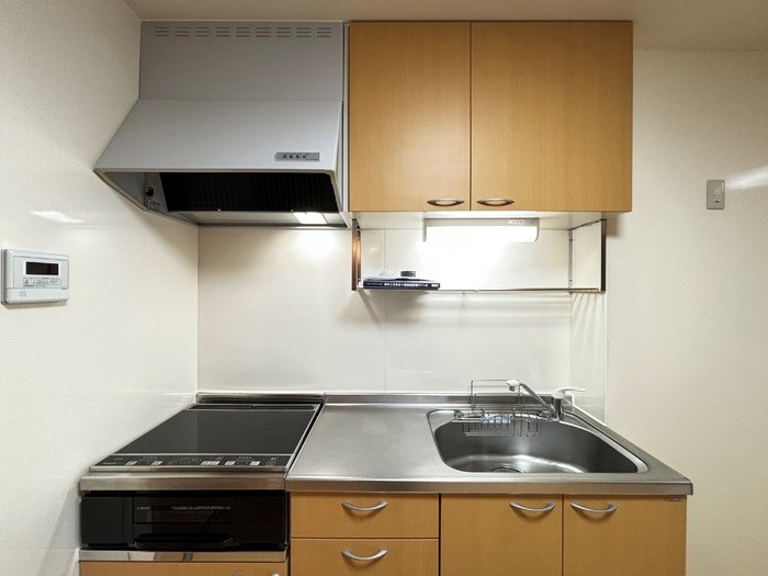 ヴィータ その他2