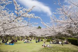 クレストコート公園前B 周辺画像5