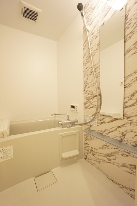 フォルテアA その他3