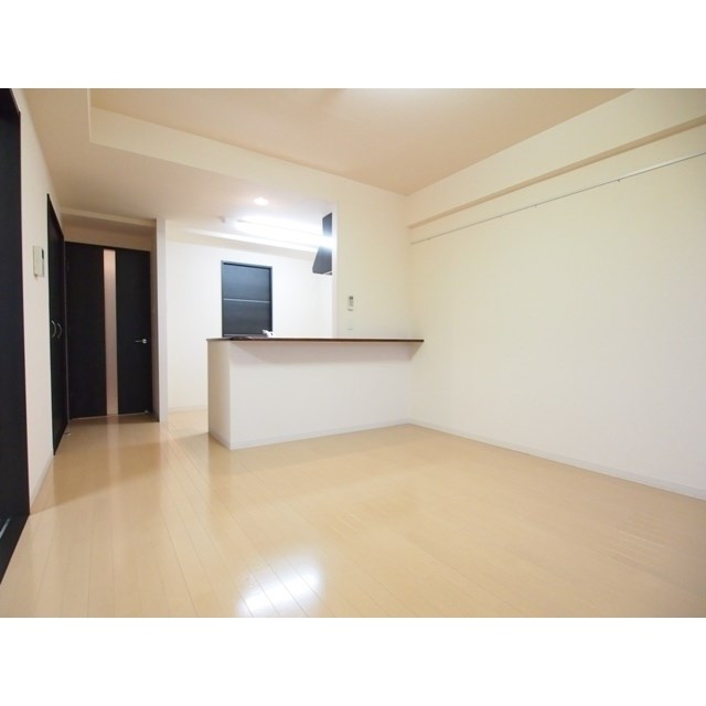 フェリシア鐙 その他1