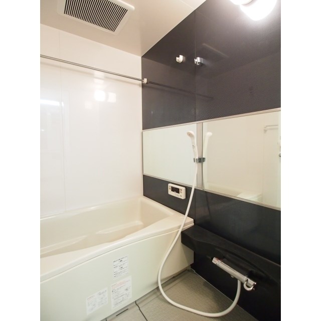 フェリシア鐙 その他3