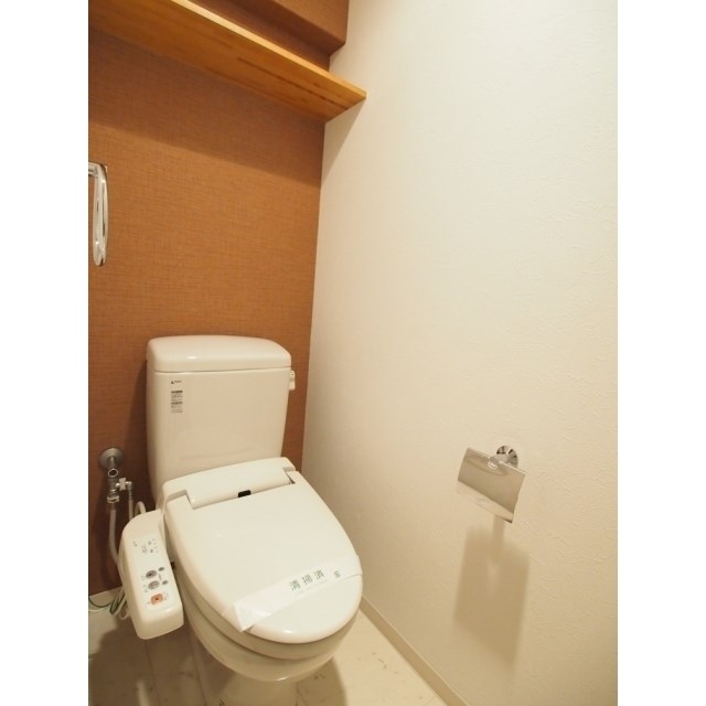 フェリシア鐙 その他4