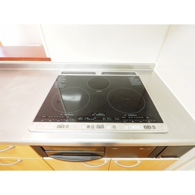 フェリシア鐙 その他16