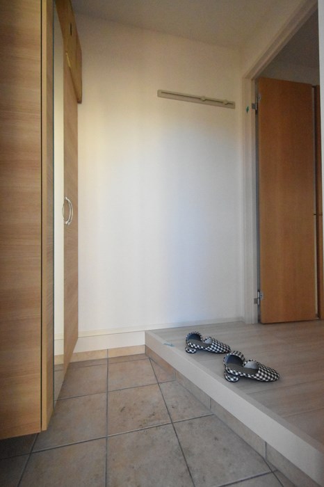 ｘｅｖｏ＋Ｒ高志 その他8