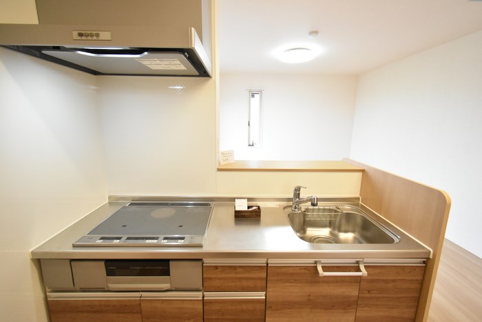 コートイーリス その他2