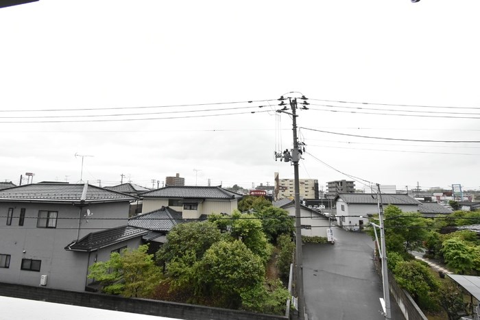 コートイーリス その他23