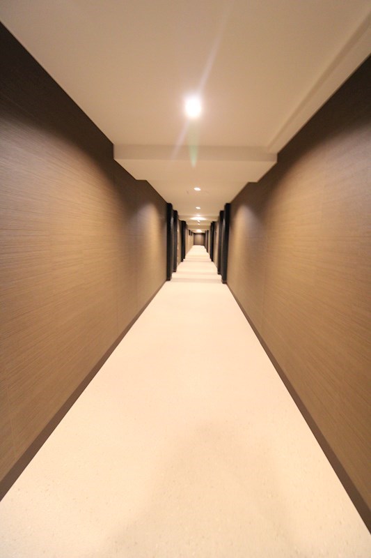 ザ・プレミア新潟萬代橋 その他13