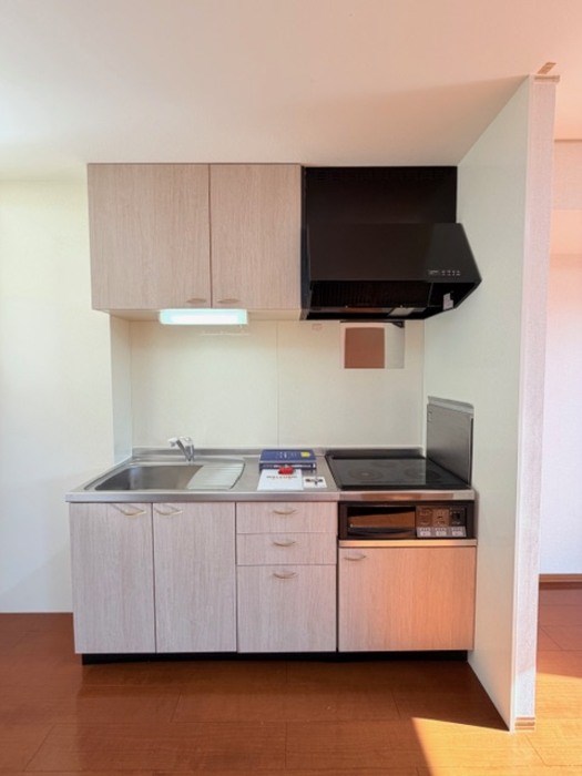 ロイヤルタウン松崎 その他2