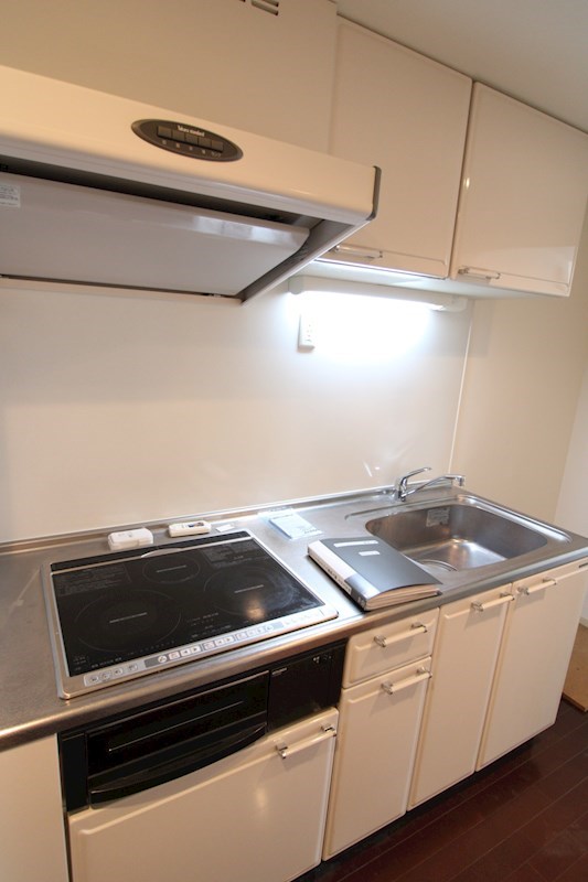 ファーストクラス柳都大橋 その他2