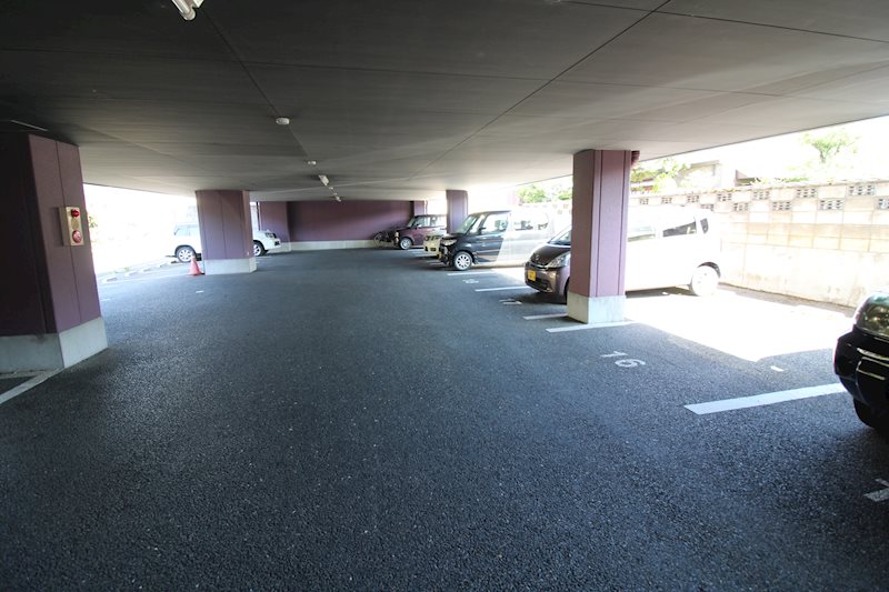 パフィオ その他12