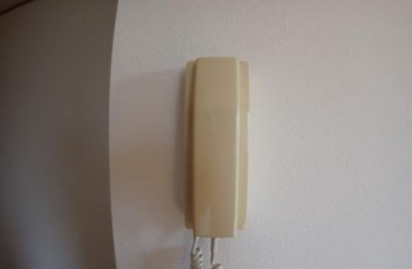 パインテイル　Ⅱ その他8