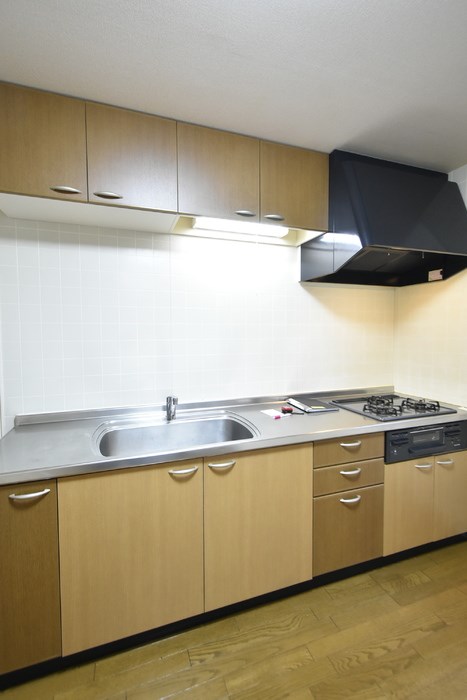 横山貸家 その他2