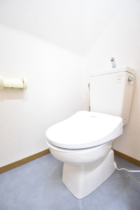 ビオラセア その他4