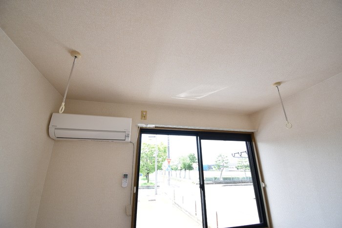 ビオラセア その他8