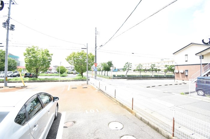 ビオラセア その他9