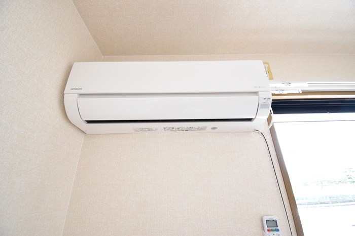 ビオラセア その他10