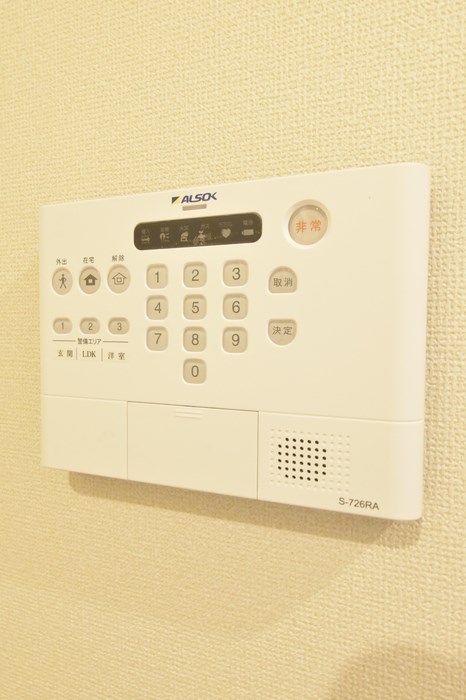 ピターニュ　A その他10