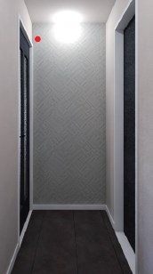 Ａｏｕｒａ上大川 その他7