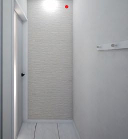 Ａｏｕｒａ上大川 その他4