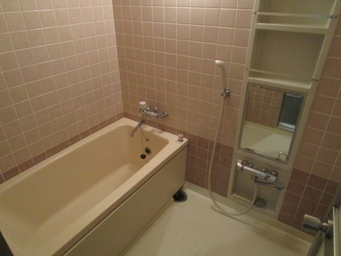 ダイアパレスロイヤルシティ東幸町　西棟 その他2