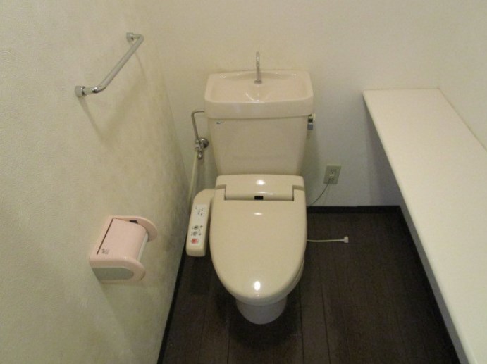 ダイアパレスロイヤルシティ東幸町　西棟 その他7