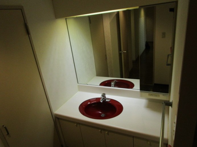 ダイアパレスロイヤルシティ東幸町　西棟 その他8