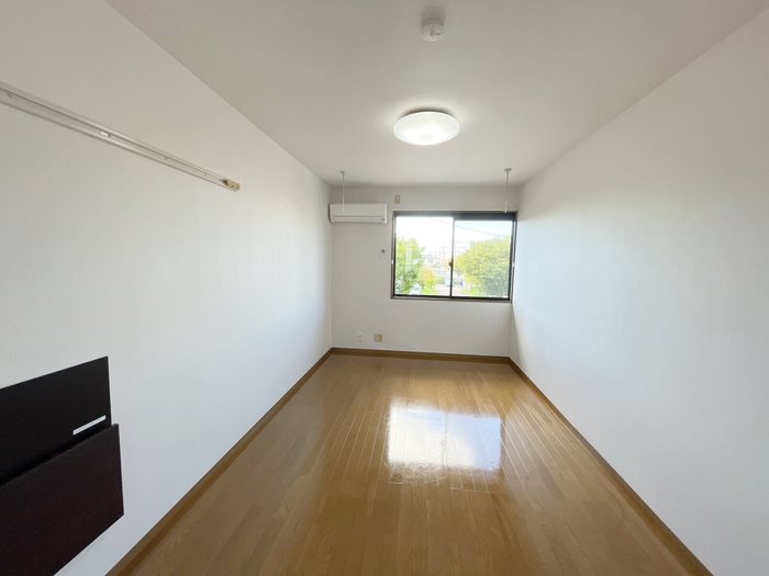 ビオラセア その他1